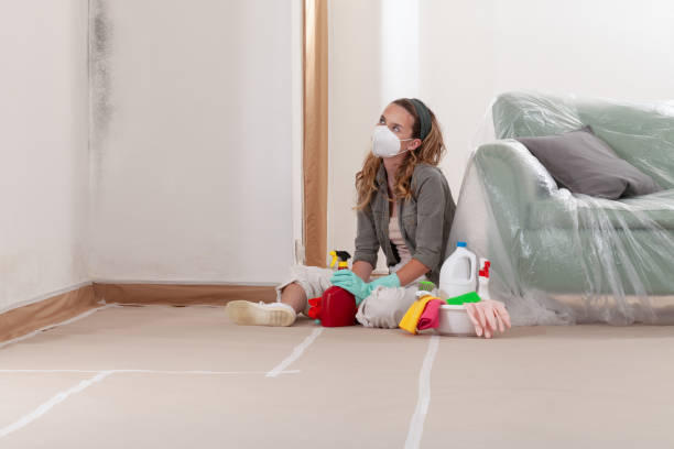 Reliable Mold Cleanup contractor in Glen Arm, MD by WQB Mold Removal